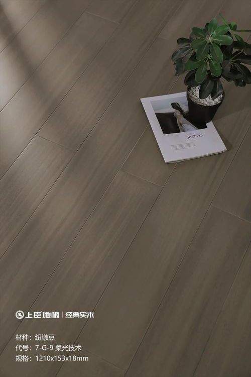 上臣地板榮獲 木業(yè)科技發(fā)明一等獎 ,領航木地板行業(yè)創(chuàng)新之路 地板網(wǎng)