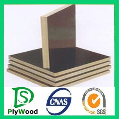 建筑模板廠家,建筑覆膜模板批發(fā) 盛大華宇木業(yè)圖片_高清圖_細節(jié)圖-臨沂市盛大華宇木業(yè) -