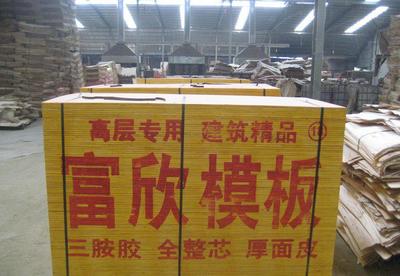 湖南建筑模板 湖南建筑模板廠家直銷 可用10-12次圖片_高清圖_細(xì)節(jié)圖-沭陽(yáng)縣龍廟鎮(zhèn)富欣木業(yè)制品廠 -