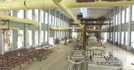 臨沂蘭山區 從“木業之都”到“綠色智造”的轉型之路